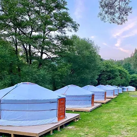 Mongolian Yurt Camp